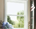 A tall kitchen window overlooking a vibrant green backyard with trees